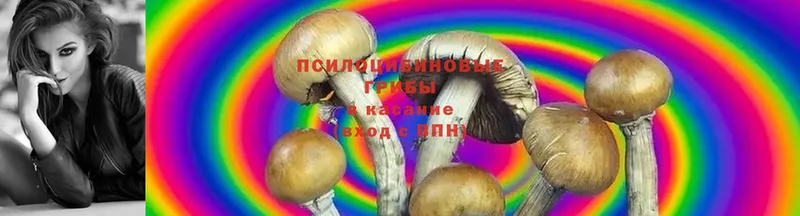 Галлюциногенные грибы Magic Shrooms  кракен ONION  Игра 